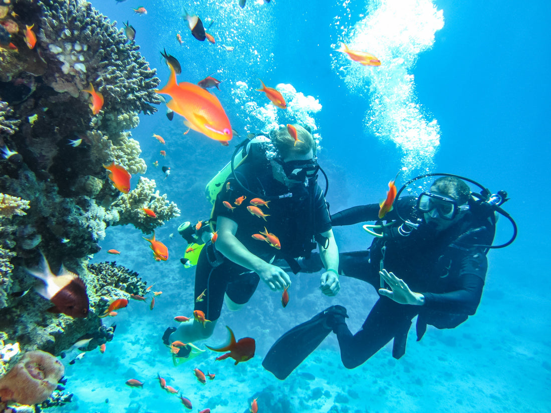 SCUBA divers on the reef